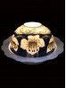 Hand Painted Porcelain Flower Dome Light with LED base